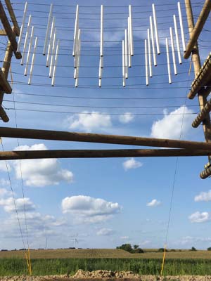 diverging logs on high ropes course